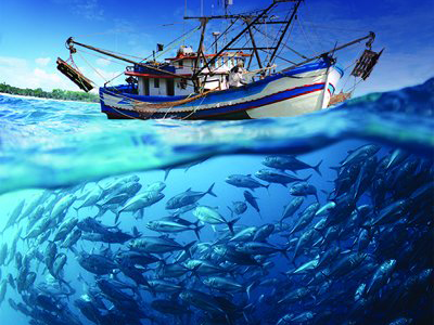 Access of fishing markets somalia